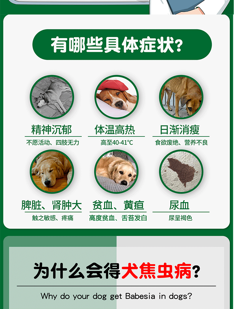 官方授权 真假可查 Dm马师皇血虫醌阿托伐醌治疗犬血虫巴贝斯虫焦虫病狗狗贫血嗜睡尿血血虫醌1瓶30粒 大 图片价格品牌报价 京东