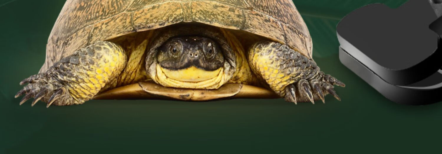 乌龟缸带晒台造景别墅饲养箱家用大型巴西龟盆水陆鱼缸养龟盒 蓝色