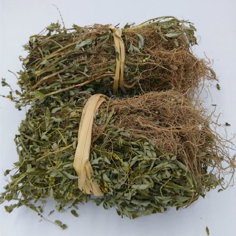 【亏本卖啦】中草福建野生叶下珠 珠仔草 珍珠草 龙珠草 整株全草带根