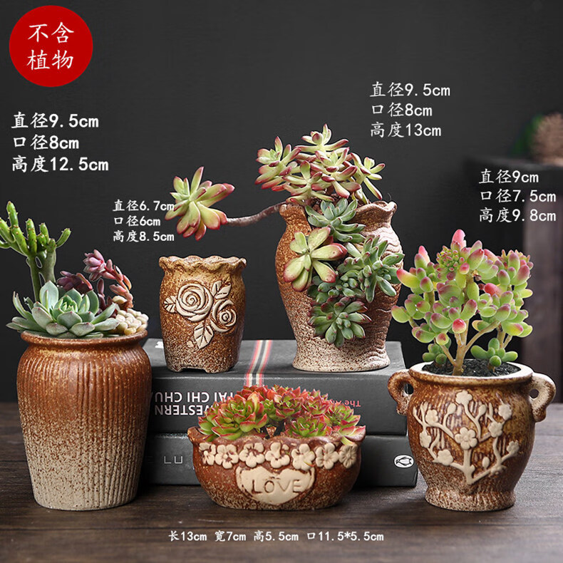 多肉花盆大号老桩创意个性大口径粗陶透气肉肉植物盆k釉个性小老桩4