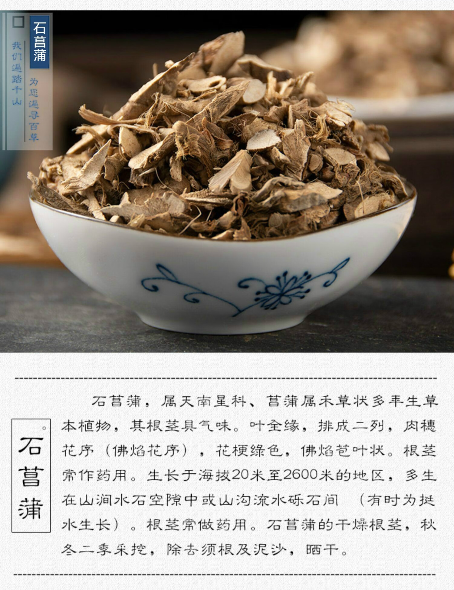 石菖蒲中药材石昌蒲药材小菖蒲中药石菖蒲粉500g 图片色【图片 价格