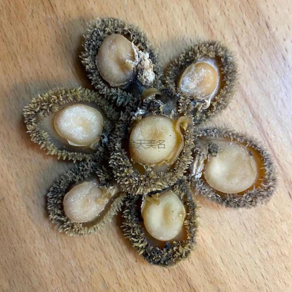 南非干鲍鱼 糖心鲍鱼 多规格 海鲜干货 足干新鲜鲍鱼海产品 佛跳墙