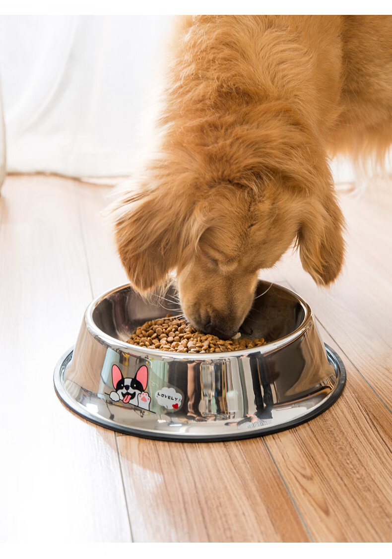 狗碗狗盆大型犬防打翻大号不锈钢狗狗食盆饭盆粮水碗中型宠物用品黄色
