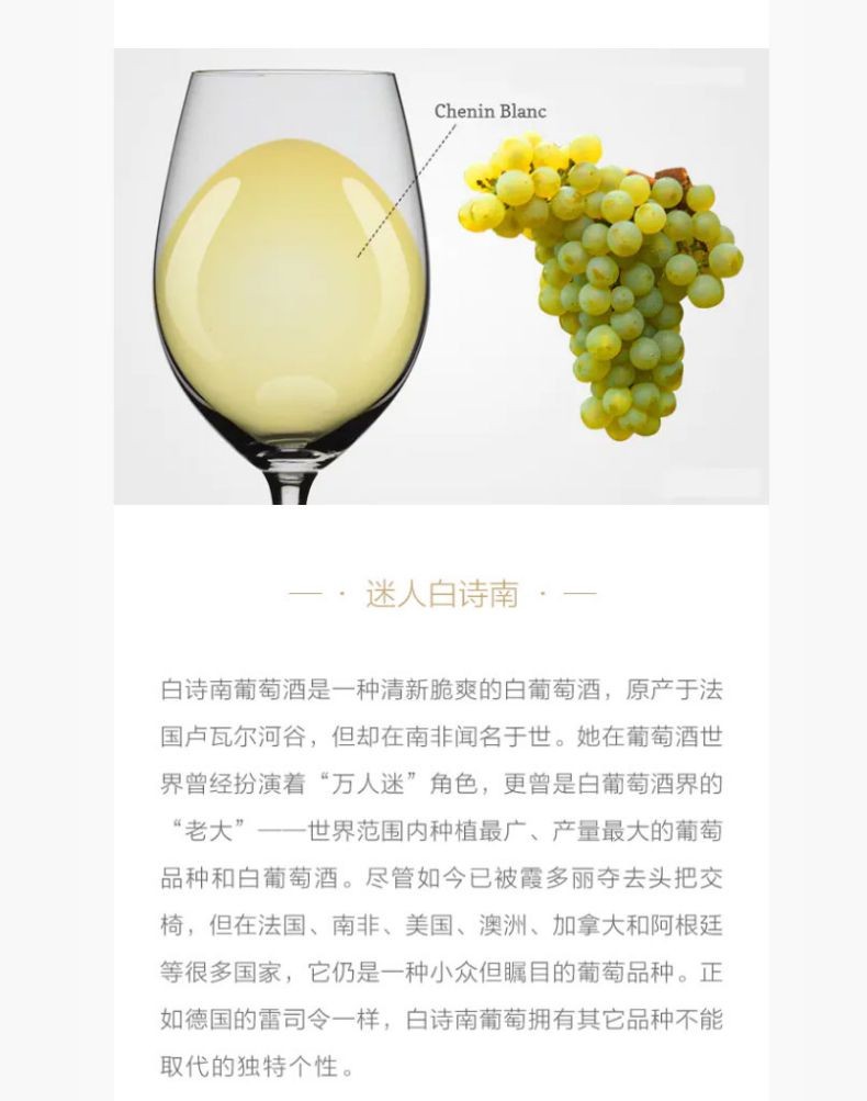 南非艾尔酒庄白诗南半干白葡萄酒94高分年度10大名庄2019年份750ml单