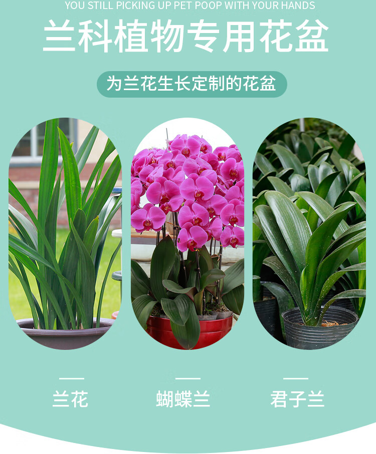 半径风景加厚仿紫砂塑料花盆君子兰盆蝴蝶兰盆高筒兰花花盆君子兰花盆