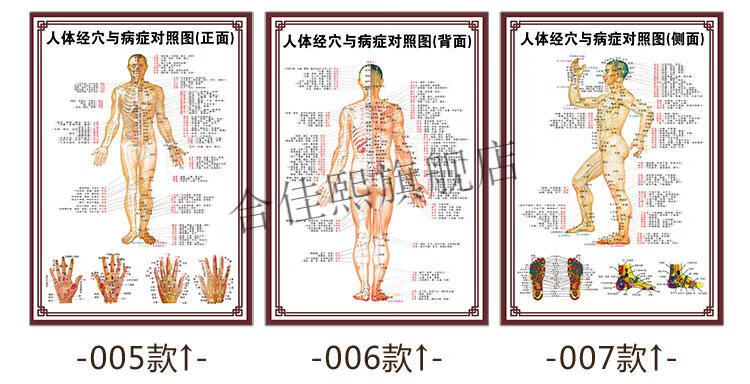 中醫養生人體經絡穴位圖大掛圖全身高清穴位推拿按摩針灸海報007棕色