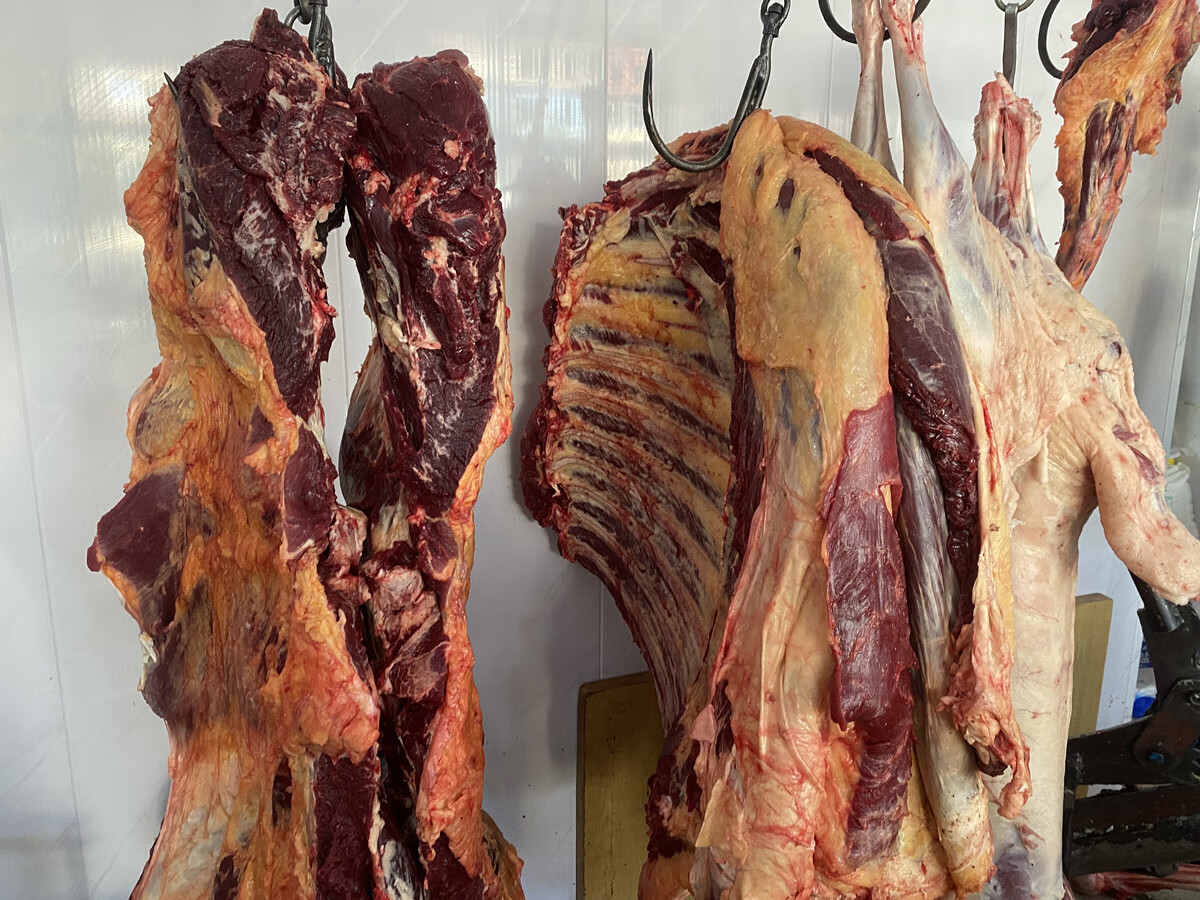 卡利安 黄膘牛排骨 内蒙古黄膘牛排 黄膘牛肉 带肉精修牛肋排骨 黄膘