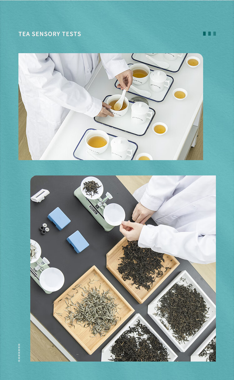 审杯标准茶叶感官审评杯碗茶具品鉴杯评茶盖碗评审套装台用具叶底盘qs