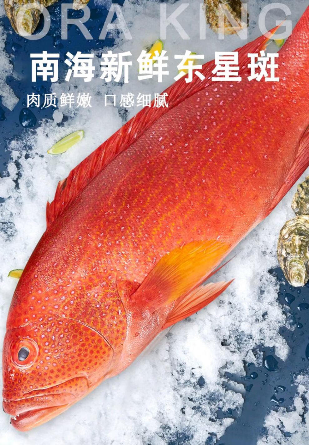 深海東星斑鮮活速凍紅石斑魚龍膽海魚沒小刺肉嫩輔食整條600g700g一條