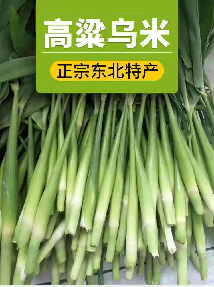 橙伯乐东北特产高粱乌米新鲜乌米农家蔬菜乌咪酱二茬小乌米1斤 新鲜