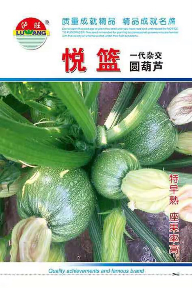 无蔓早生南瓜种子一串铃短蔓小嫩南瓜圆葫芦瓜春季田园蔬菜种籽孑无蔓