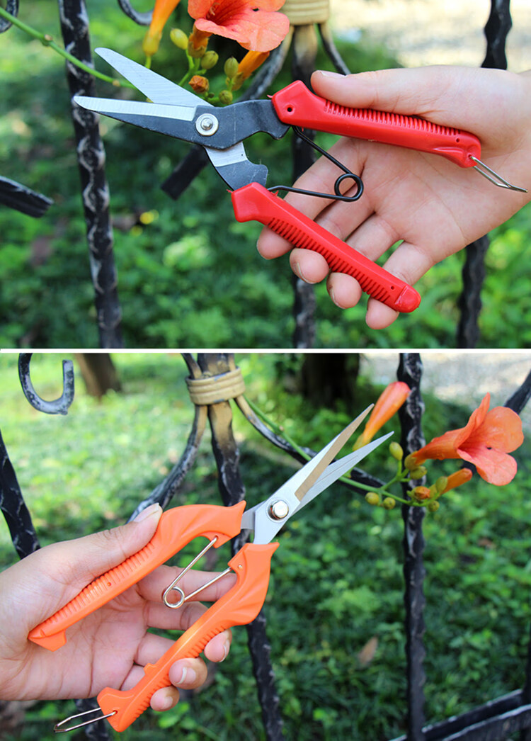 葡萄剪刀摘果采果剪桔子蔬果修枝果园果树采摘翘头摘水果工具神器带细