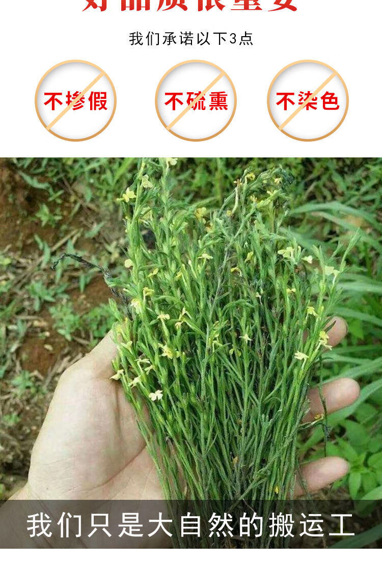 广西野生独角金儿童开胃进食独角金疳积独角金汤包小孩开胃药材 新货