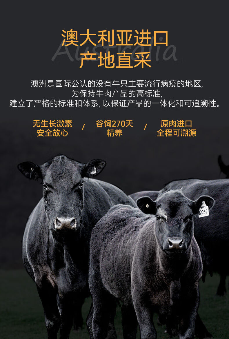 原切牛排雪花m5肉眼芯谷饲黑椒套餐澳洲安格斯牛扒新鲜单片橙伯乐雪花