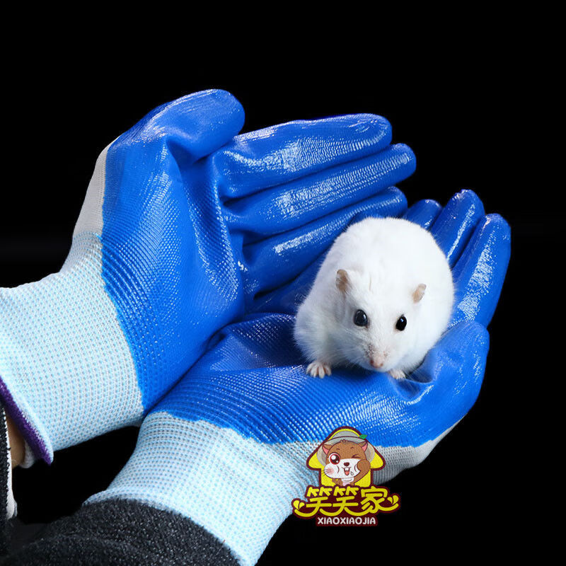 仓鼠手套防咬玩具宠物金丝熊刺猬松鼠鱼龟抓捕网荷兰猪用品防咬伤牛皮