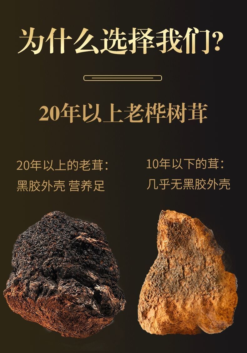 桦树茸桦树茸黑晶桦树茸长白山滋补养生中药材桦褐孔菌精选桦树茸500