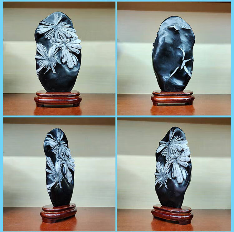 奇石浏阳菊花石观赏石原石化石摆件家居饰品底座客厅厂家直销 y12