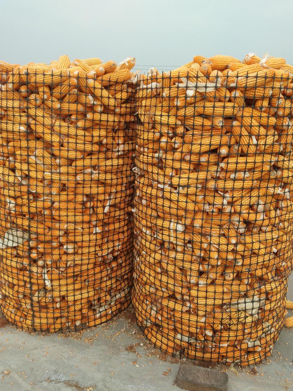 圈玉米网装棒子塑料网玉米仓储架子网加厚苞米楼子围栏网玉米仓网 1