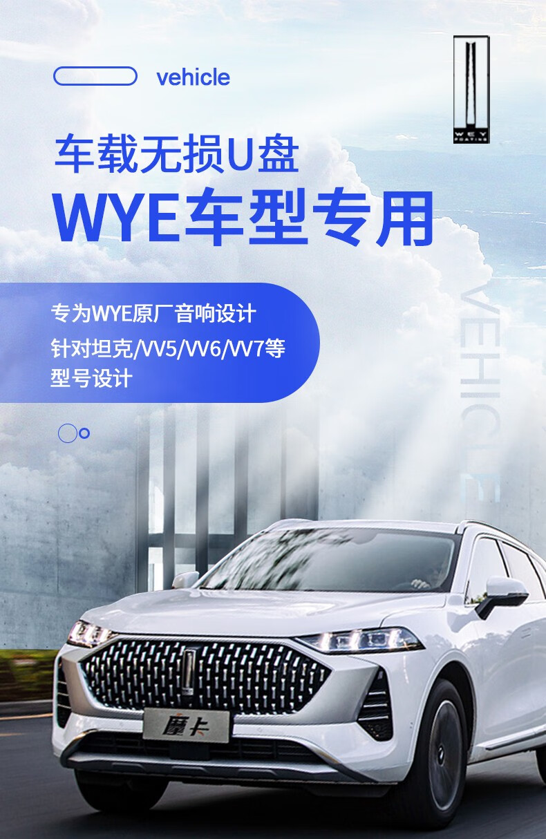 300专用高品质燕飞利仕32g原车音响用高品质视频新款typec接口无logo