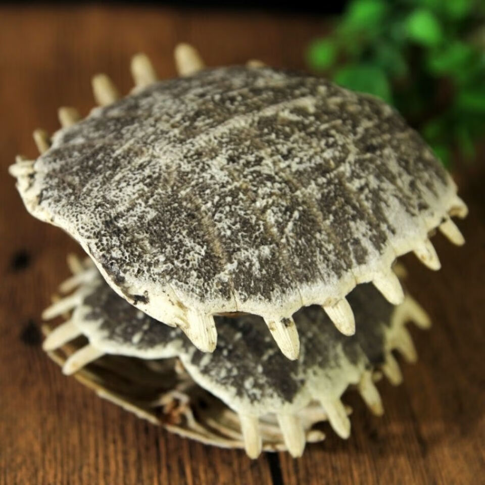 中药材 制鳖甲炙鳖甲醋炒鳖甲 鳖盖子甲鱼壳 醋鳖甲 醋制鳖甲 鳖甲