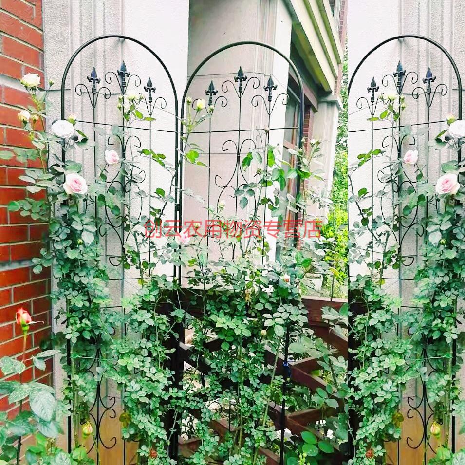 欧式铁艺蔷薇爬藤架子花支架户外庭院植物月季铁线莲攀爬花架小号黑色