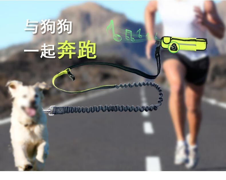 5ae9d737cfec80ee.jpg