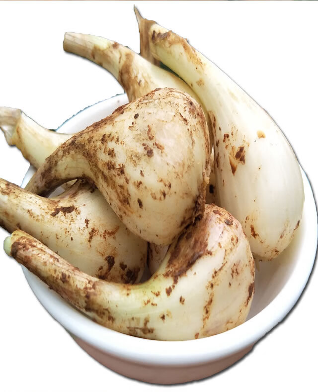 无叶荞头新鲜蕌头现挖农家茭头江西教头菜自种蔬菜小蒜凉拌下饭菜可种