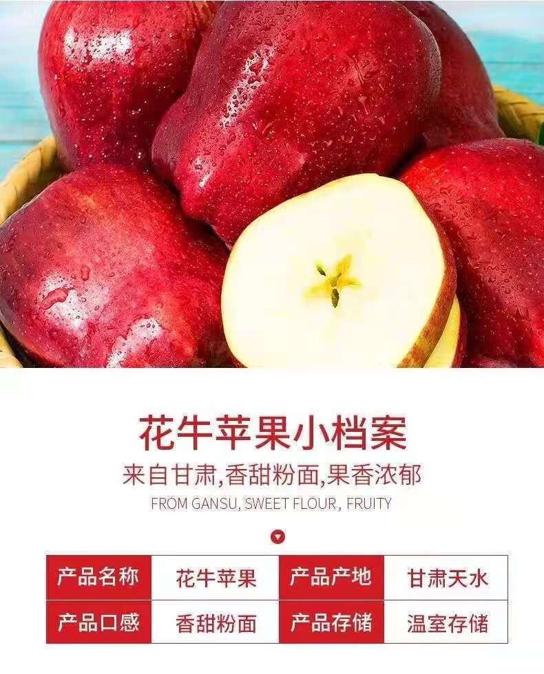 甘肃天水花牛苹果新鲜蛇果粉面红苹果孕妇宝宝辅食多规格整箱 精选装