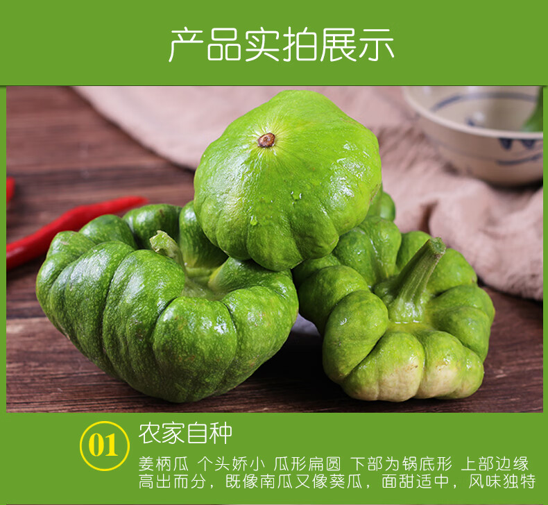 云南小麦瓜姜柄瓜小瓜姜饼瓜新鲜蔬菜嫩南瓜小绿瓜5斤