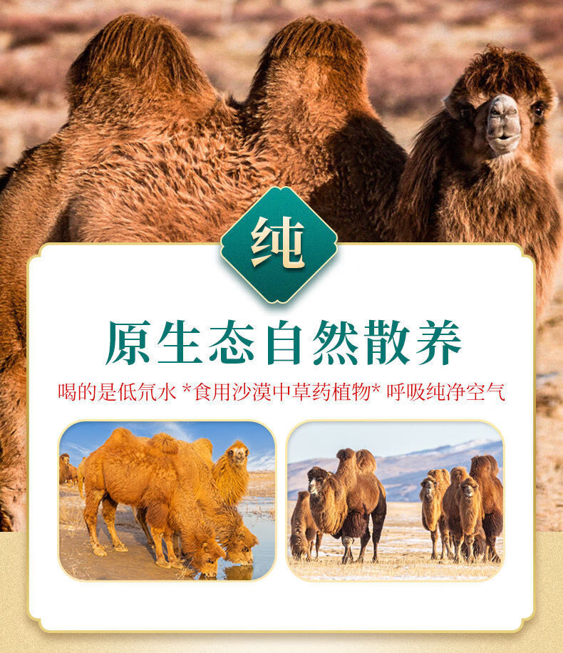 新疆伊犁漠之尊骆驼奶300g罐漠之尊初乳骆驼奶粉新疆伊犁中老年高钙无