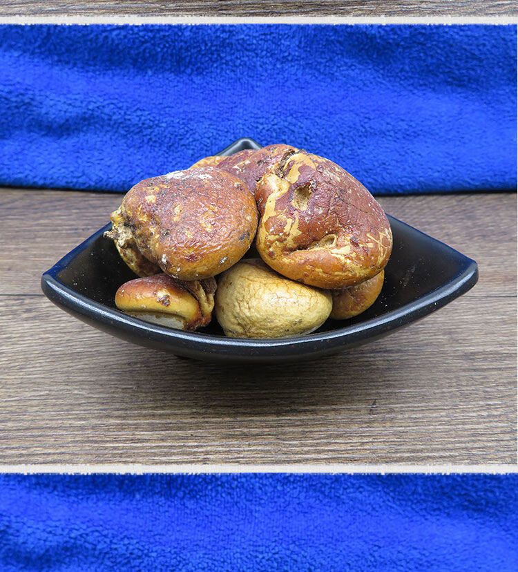 材 须元果 无根果 隐孔菌 树荷包觅阳果 100克