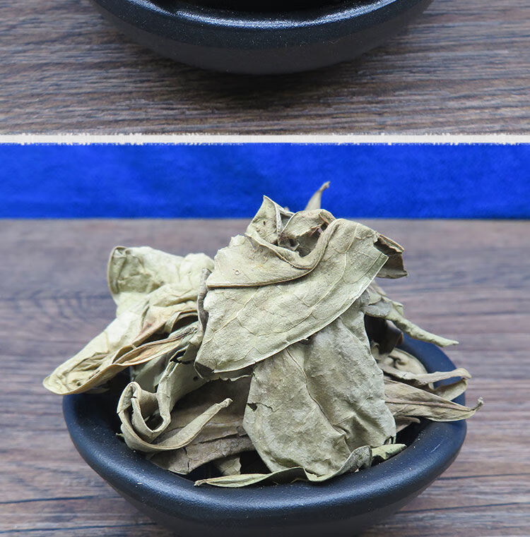 中材 龙利叶 龙舌叶龙脷叶龙脷叶牛耳叶冷背100g