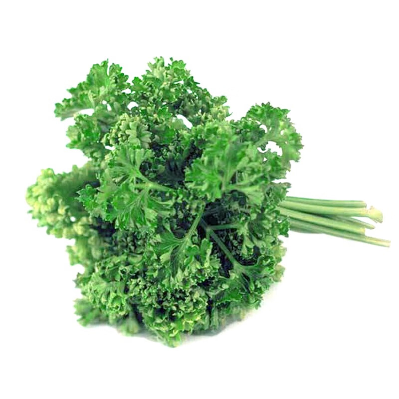 新鲜荷兰芹123斤西餐火锅装饰摆盘花草蔬菜法国香菜欧芹芫荽2斤