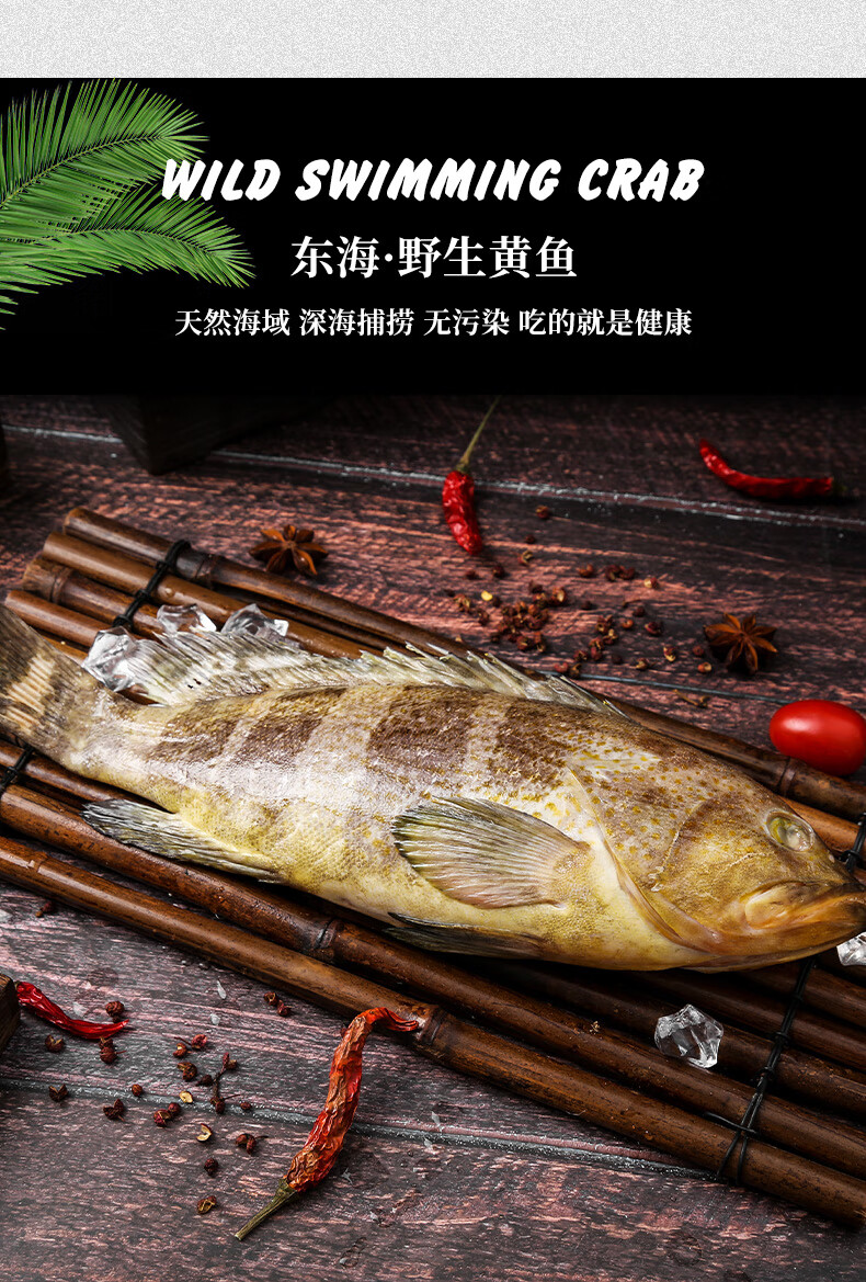 石斑鱼野生 东山岛深海捕捞 冷冻海鲜鲜活土斑鱼 500g/2条【图片 价格