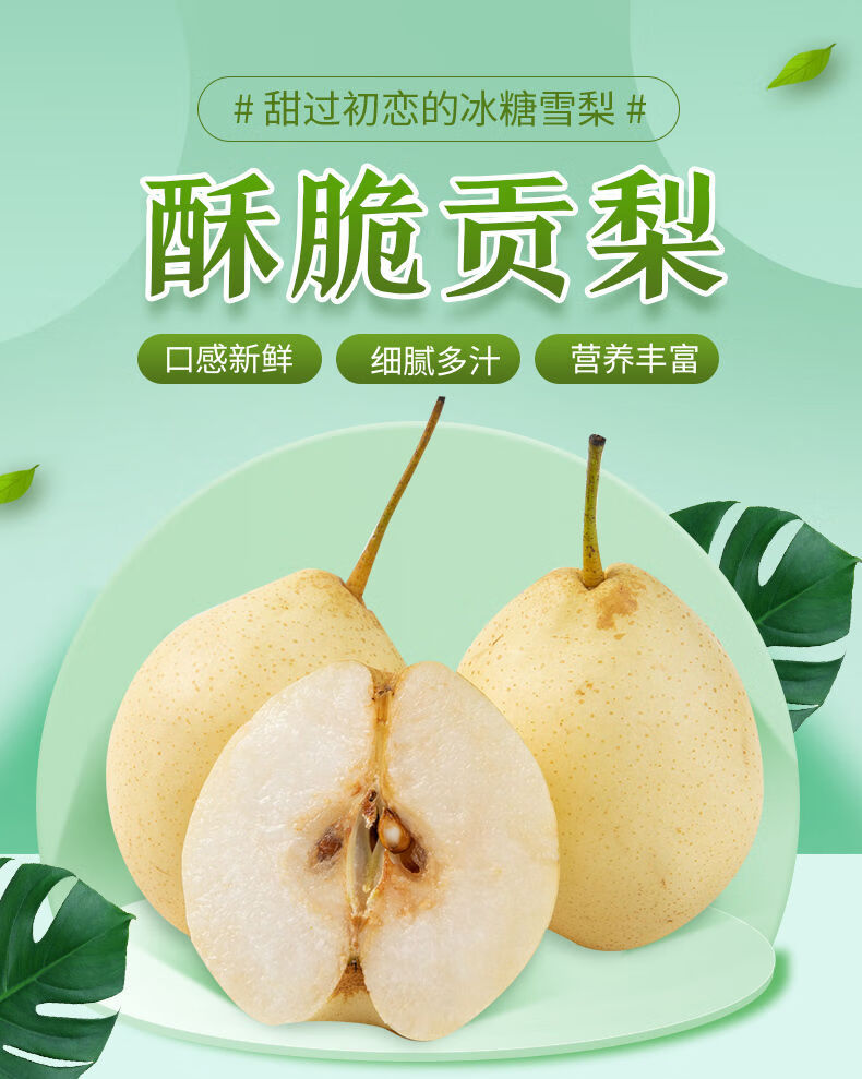 【大】山西贡梨新鲜应季水果梨子整箱批5/10斤酥梨 精品中果5斤净重(