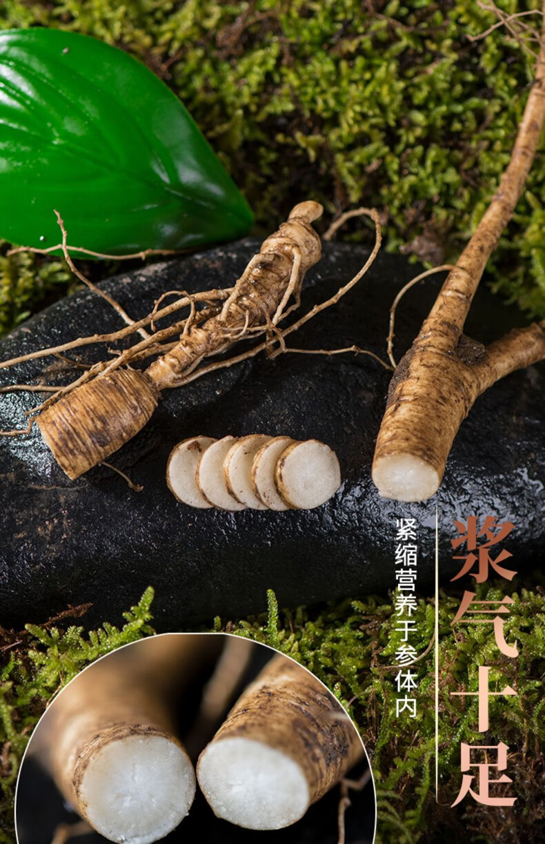 北京同仁堂新鲜林下参20年野山参东北特产老山参泡酒叁鲜人参长白山