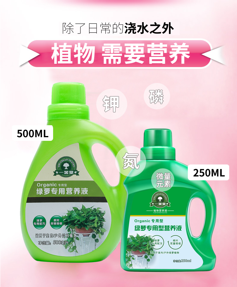 绿叶宝绿萝营养液专用肥绿箩植物叶子发黄肥料室内水培通用花肥水养