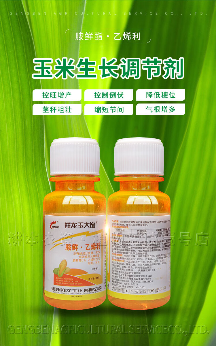 玉米田生长调节剂复配胺鲜酯乙烯利增产抗倒伏增粗矮壮素饱粒素 30g