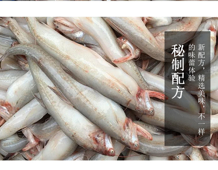 舟山龙头鱼新鲜鲜活九肚鱼冷冻丝丁鱼水潺豆腐鱼海鲜鲜鱼水产2斤3斤装