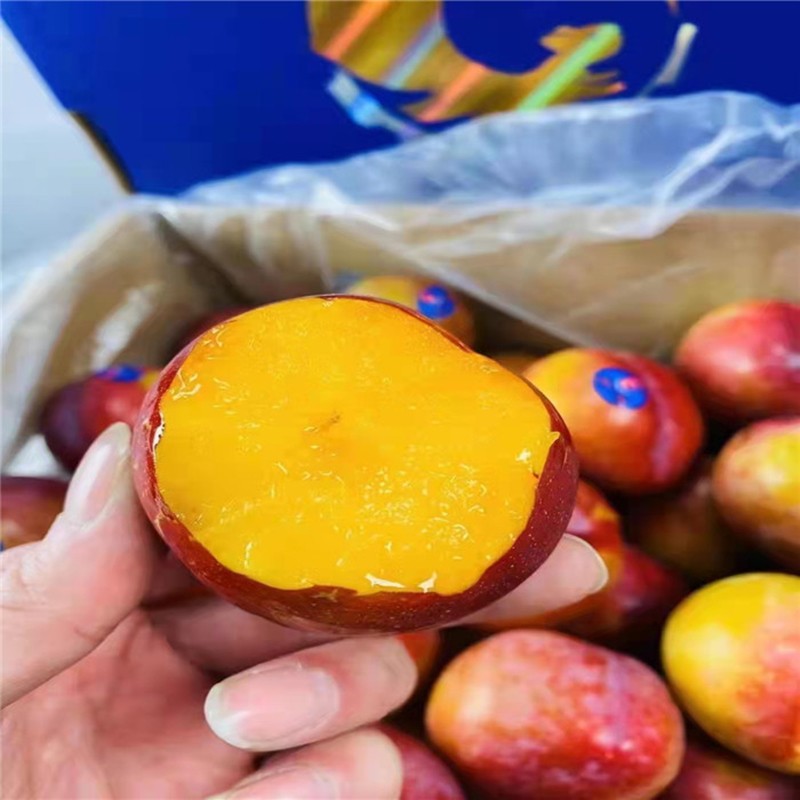 珠宝李新鲜时令水果孕妇黄肉布林恐龙蛋水果3斤尝鲜装