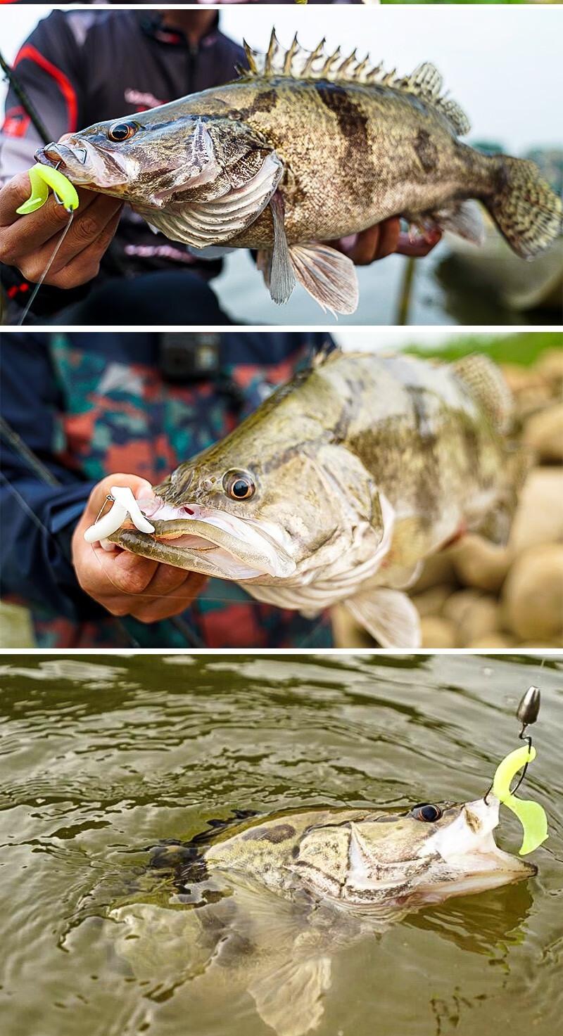 lureleader领峰21新款领峰狂口卷尾爆钓卷尾蛆路亚软虫软饵鳜鱼鲈鱼