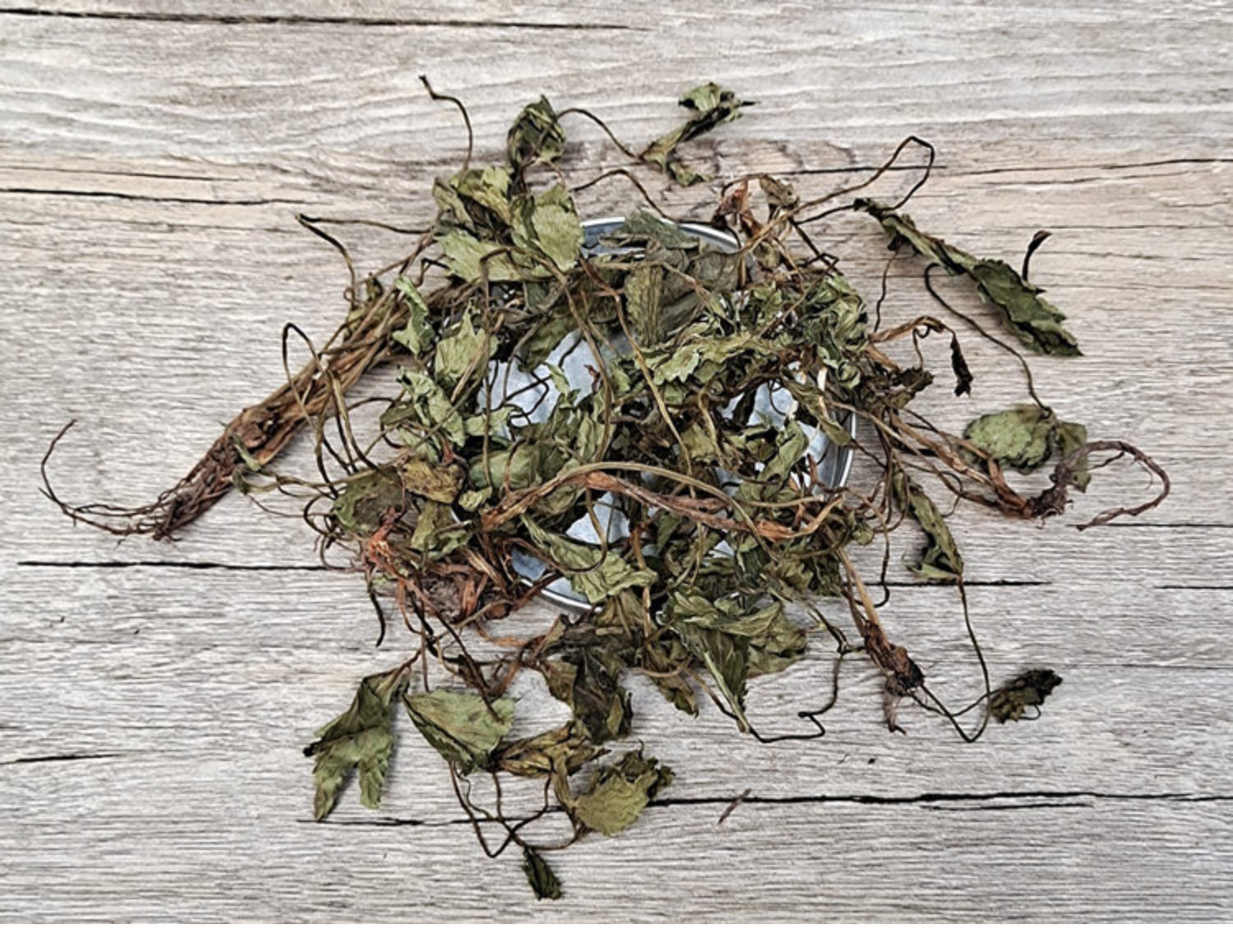 伟博精选肺心草500g克山区中药材新货肺经草新鲜干货肺筋草中草药推荐