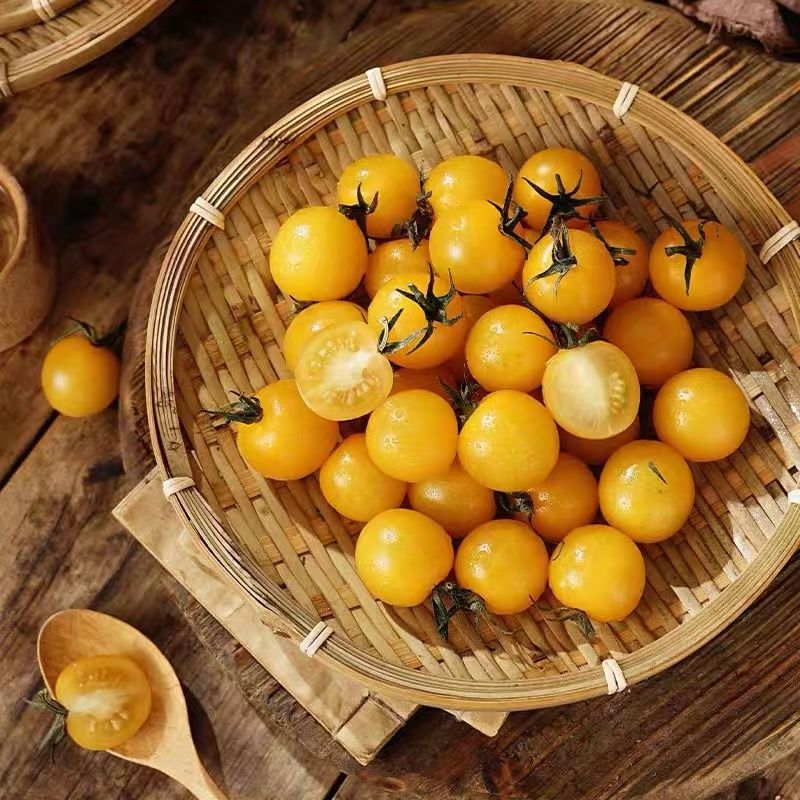 【寿光蔬菜】夏日阳光小番茄迷恋圣女果黄色樱桃小番茄小柿子顺丰