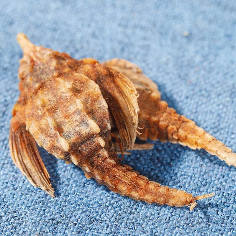 北京同仁堂 海燕 中药材 海燕子 煲汤养生 泡酒料 内廷上用 50-500克