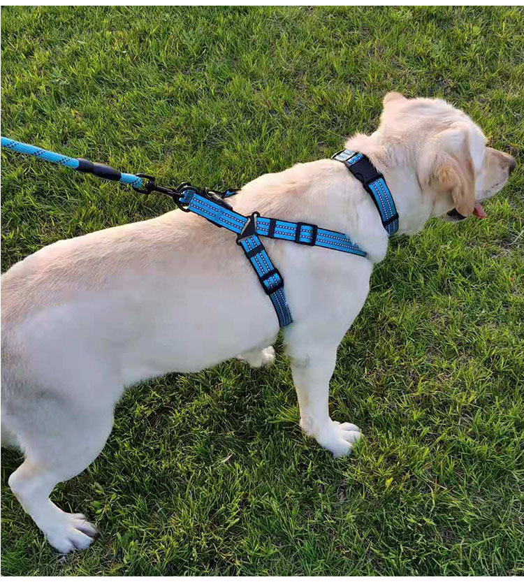 宠尚美反光宠物牵引绳狗绳狗项圈狗胸背带小型中型大型犬金毛马犬泰迪