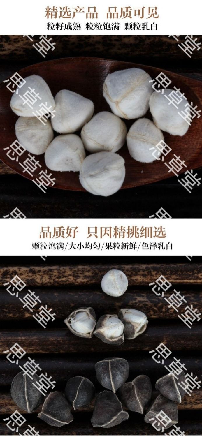 辣木籽粉特级食用养生纯正500g散装滋补品新品厂家直销500g辣木籽粉