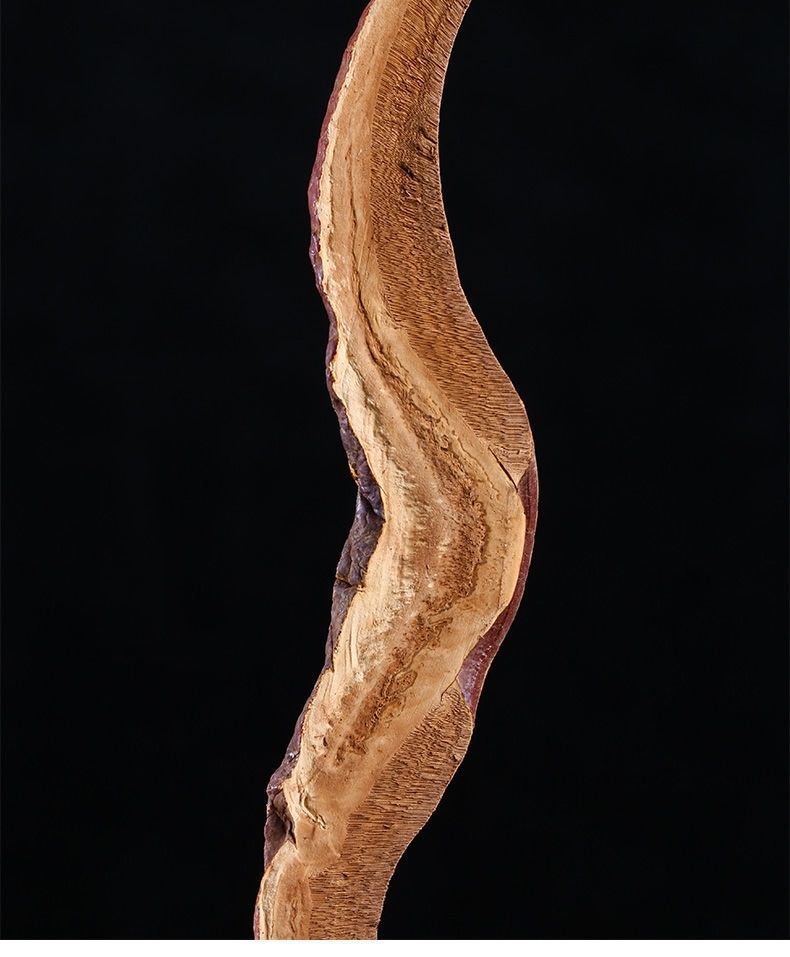 凯史甘斯 芽斛芝大片200克官网芽斛藏芝 切片买2送1野生芽茬芝 大片