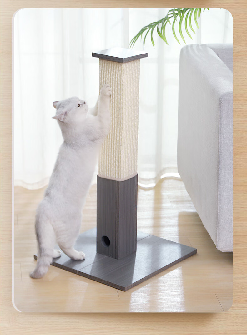京固 猫爬架猫窝猫树一体剑麻绳猫抓板小型实木立式猫抓柱小户型猫