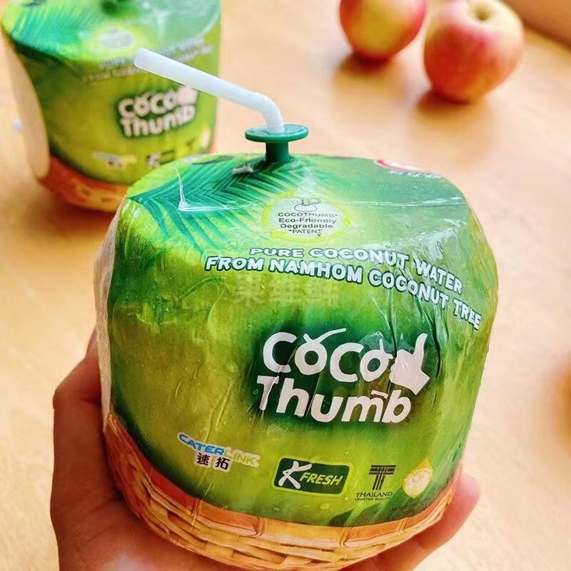 椰青6粒装网红椰青易开宝原箱新鲜coco香水椰子泰国coco椰青6粒原装