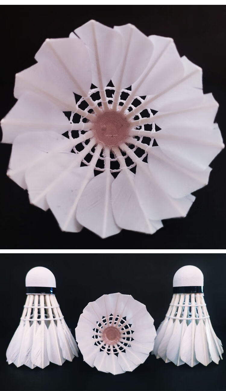 打不烂单打羽毛球套装羽毛儿童家用健身器材体育用品6只装耐打王训练